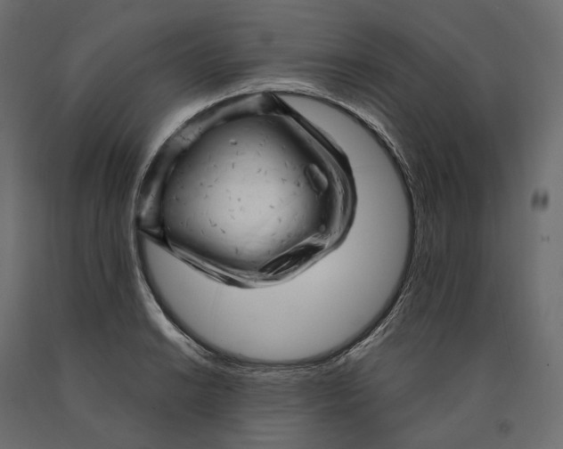 X0000090441038200708031149