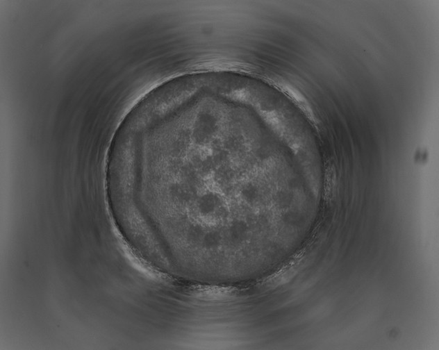 X0000090441039200708031149