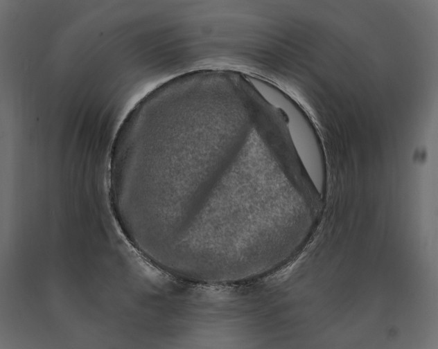 X0000090441040200708031149