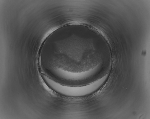 X0000090441042200708031149