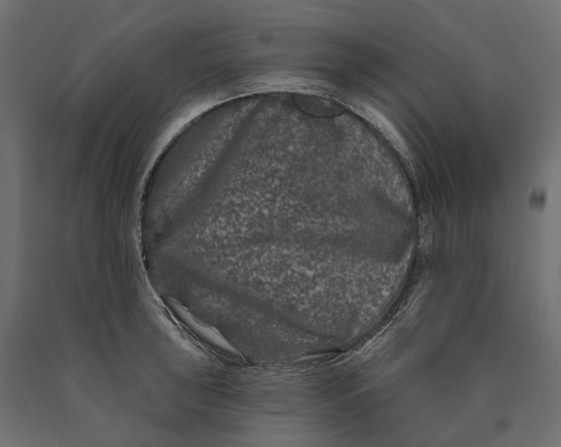 X0000090441043200708031149