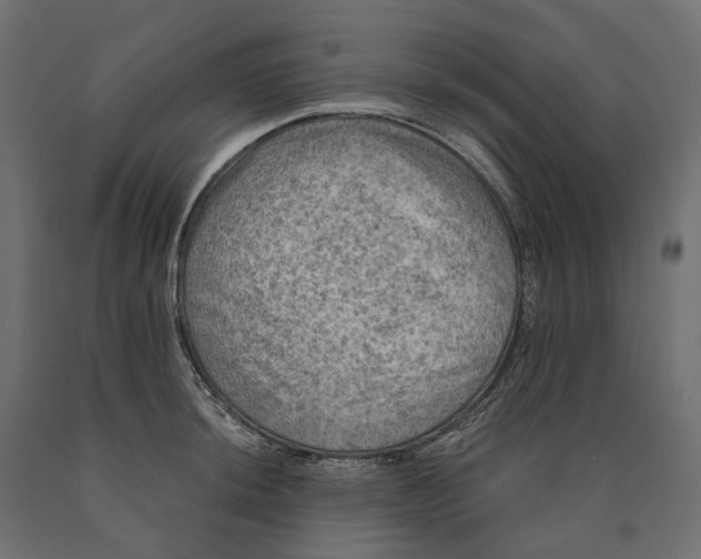 X0000090441044200708031149