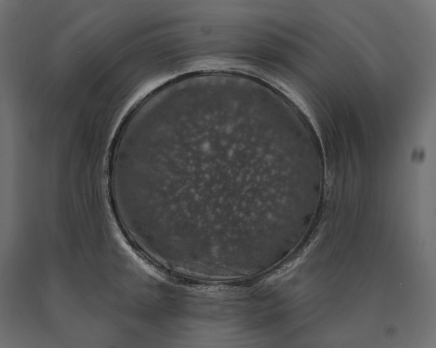 X0000090441045200708031149