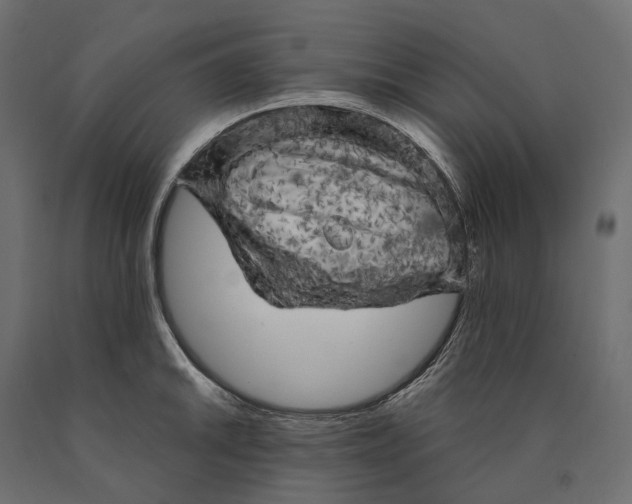 X0000090441046200708031149