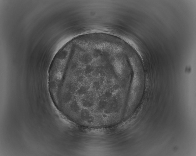 X0000090441047200708031149