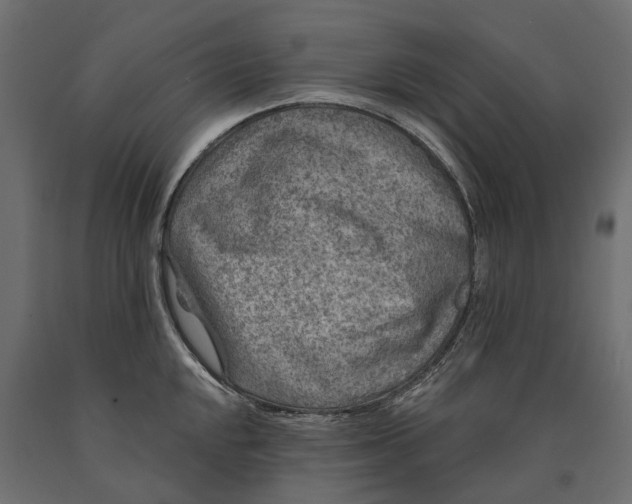 X0000090441048200708031149