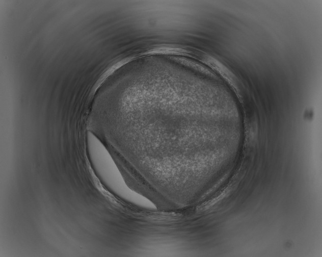 X0000090441049200708031149