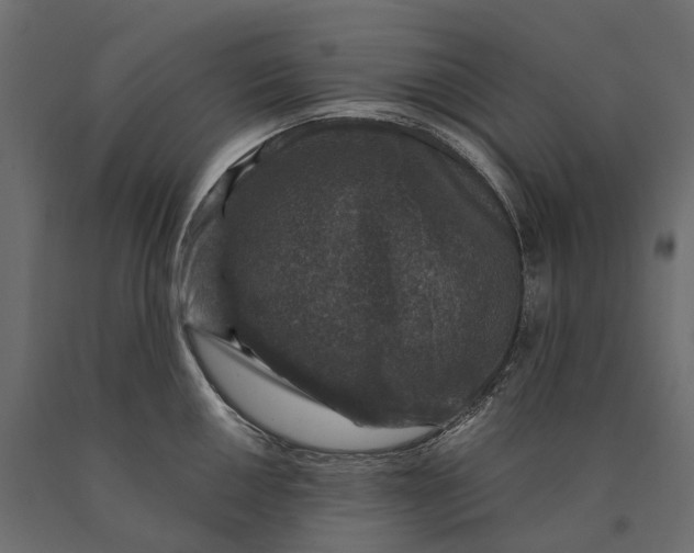 X0000090441050200708031149