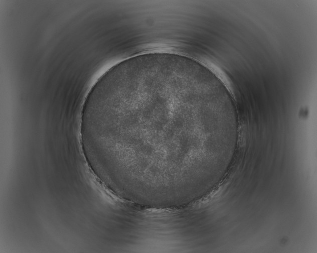 X0000090441051200708031149