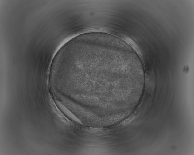 X0000090441052200708031149