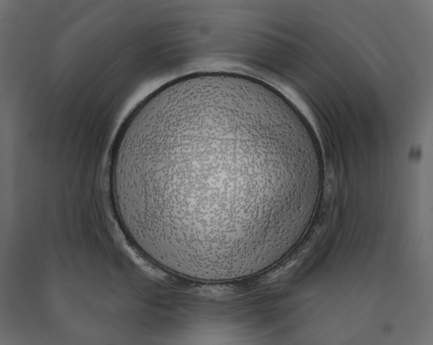 X0000090441053200708031149