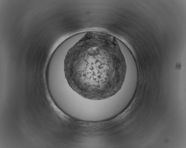 X0000090441054200708031149