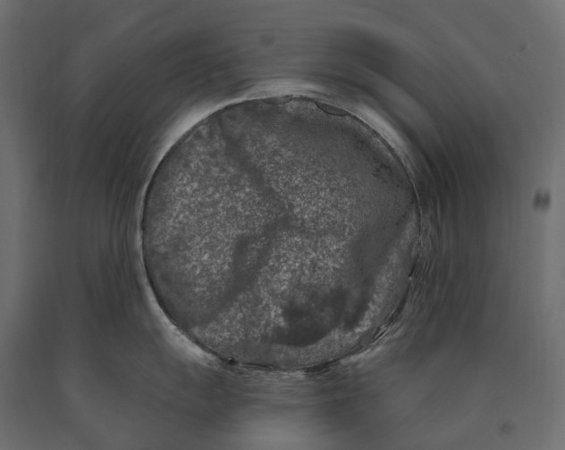 X0000090441055200708031149