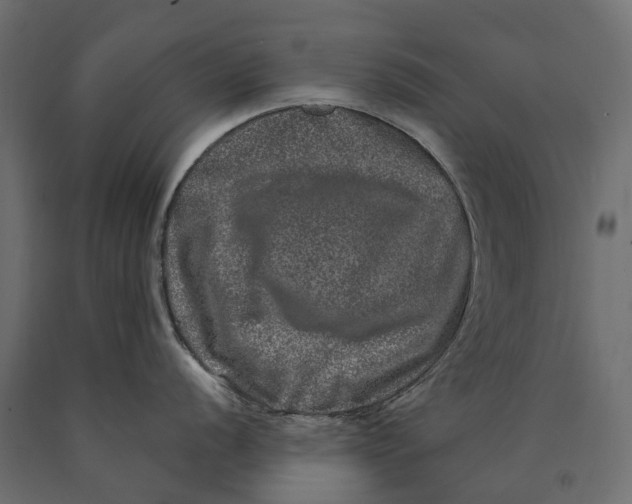 X0000090441056200708031149