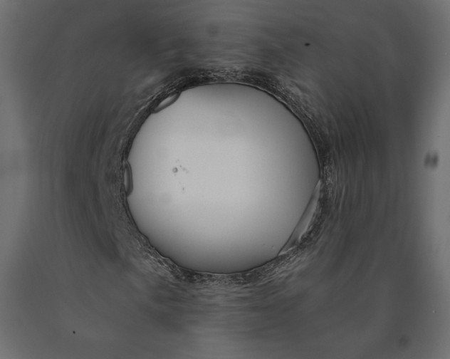 X0000090441057200708031148