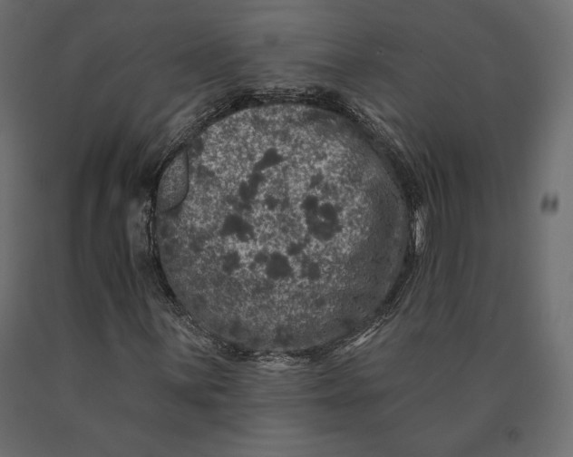 X0000090441059200708031148