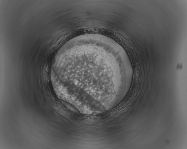 X0000090441060200708031148