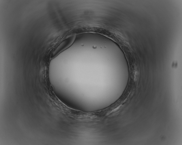 X0000090441061200708031148