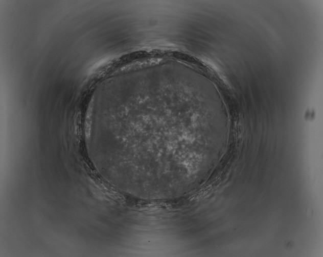 X0000090441063200708031148