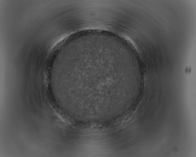 X0000090441064200708031148