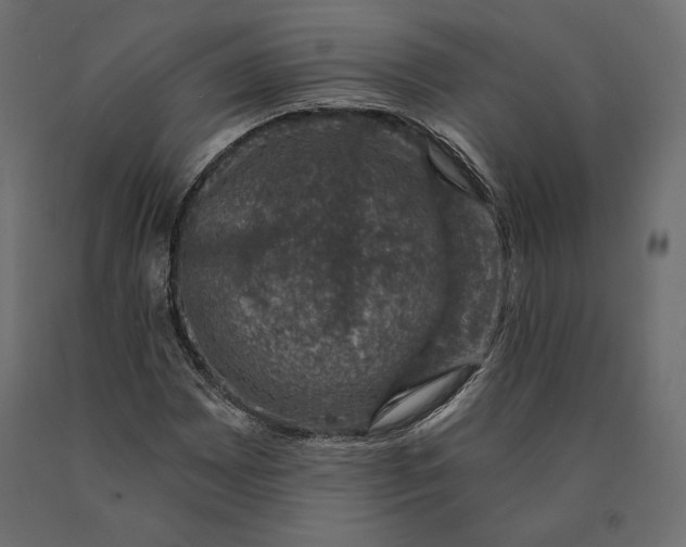 X0000090441065200708031148