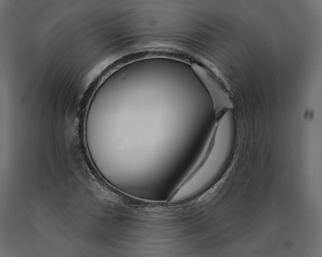 X0000090441066200708031148