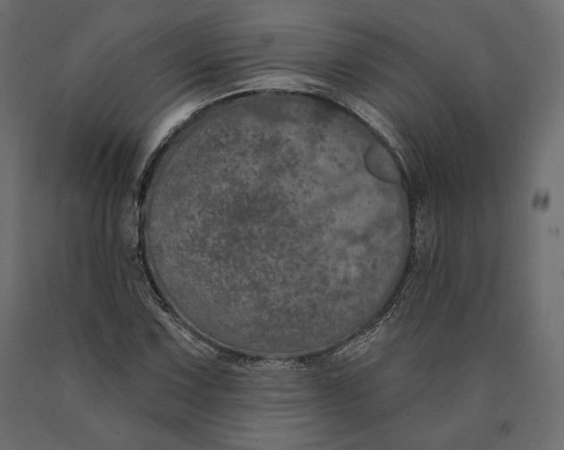 X0000090441067200708031148