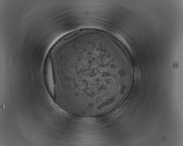 X0000090441068200708031148