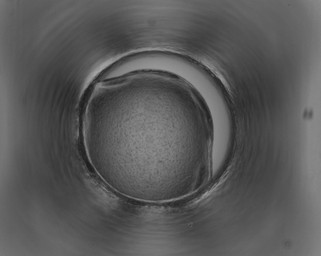 X0000090441069200708031148