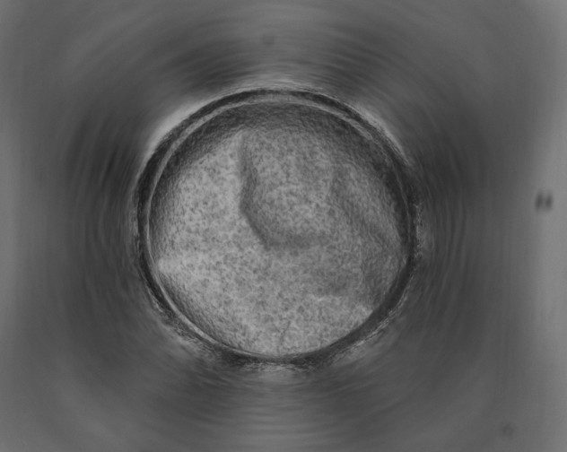 X0000090441070200708031148