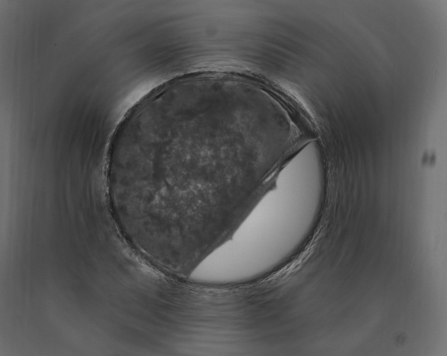 X0000090441071200708031148