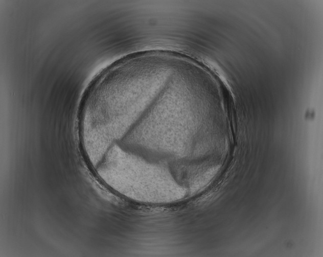 X0000090441072200708031148