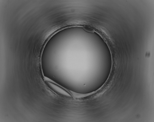 X0000090441073200708031148