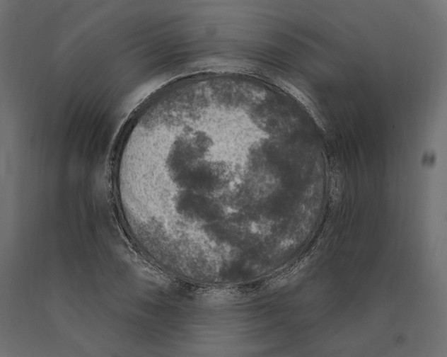 X0000090441074200708031148