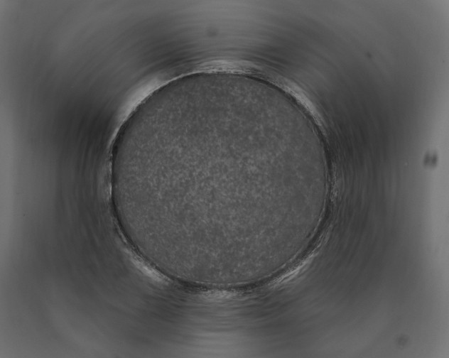 X0000090441075200708031148