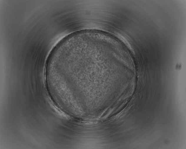 X0000090441076200708031148