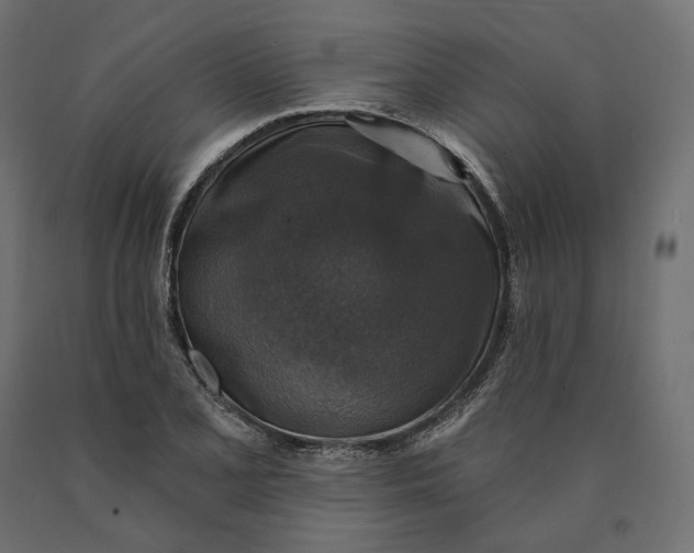 X0000090441077200708031148