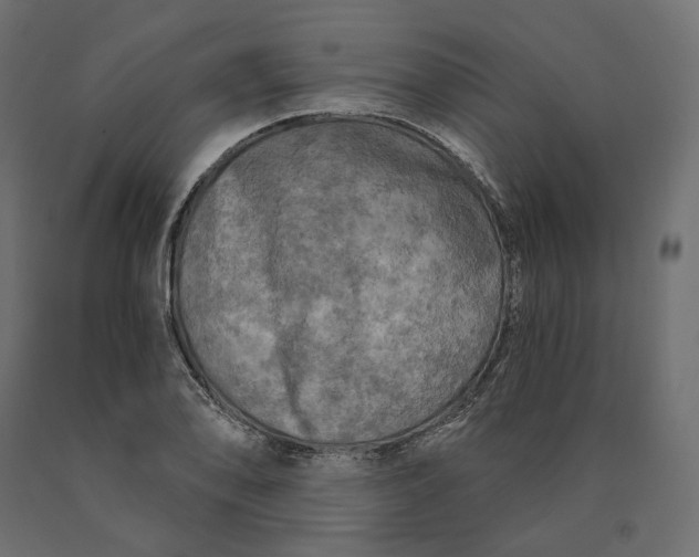 X0000090441078200708031148