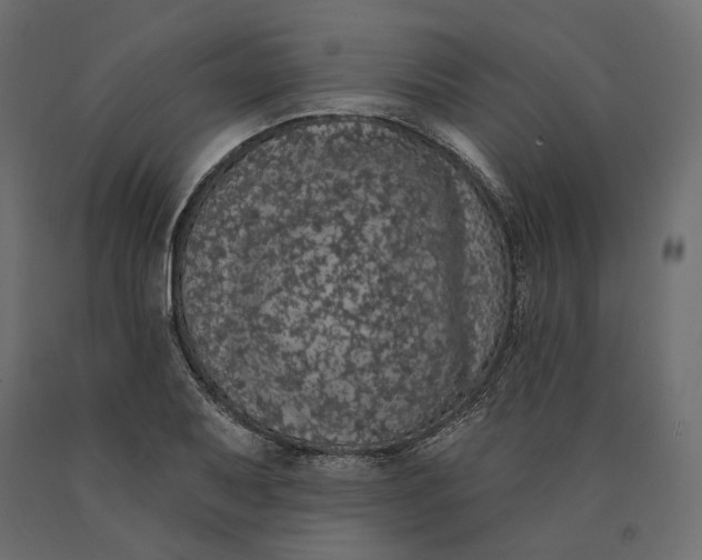 X0000090441079200708031148