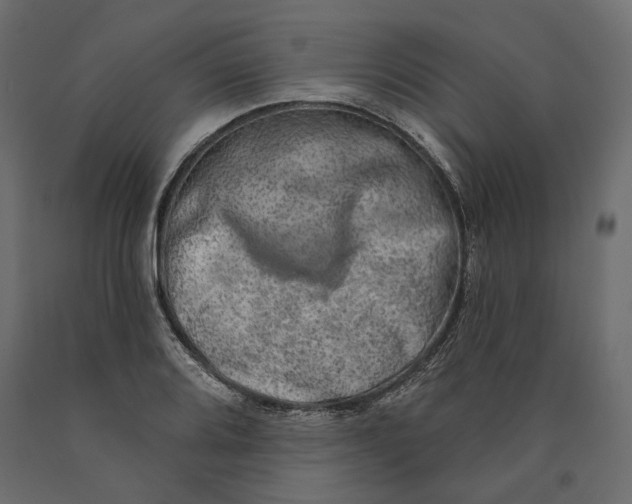 X0000090441080200708031148