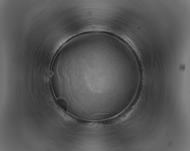 X0000090441081200708031148