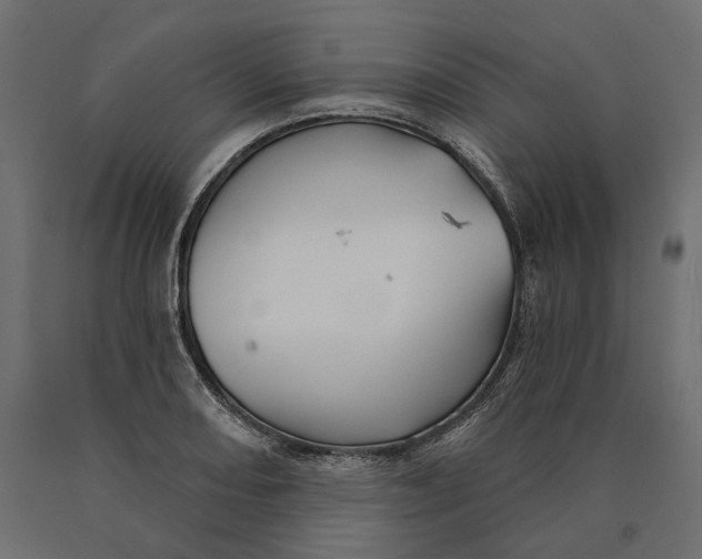 X0000090441082200708031148