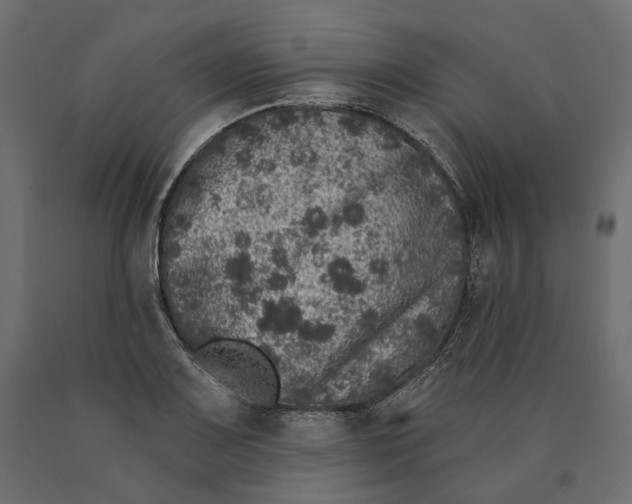 X0000090441083200708031148