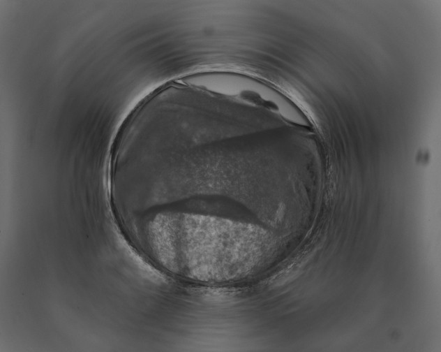 X0000090441084200708031148