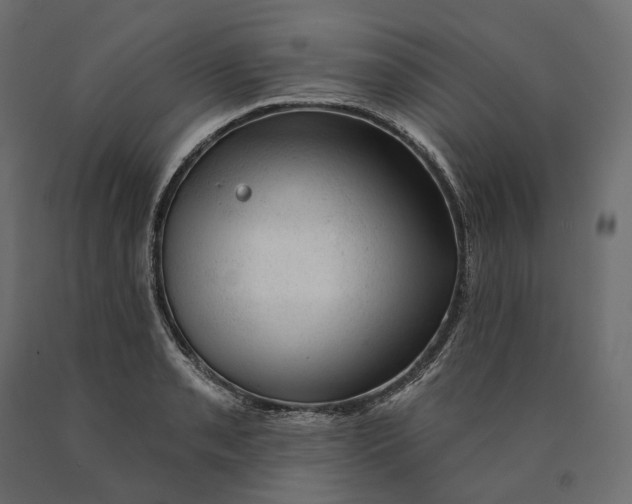 X0000090441085200708031148