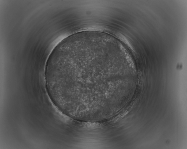 X0000090441087200708031148