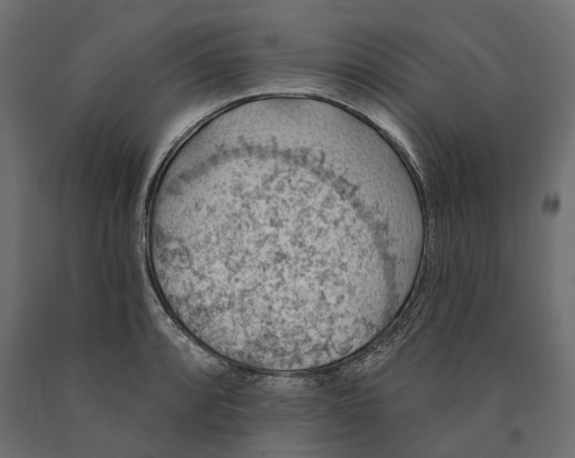 X0000090441088200708031148