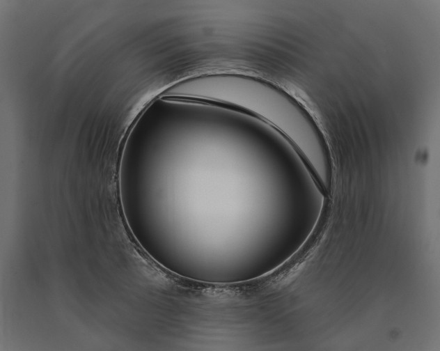 X0000090441089200708031148