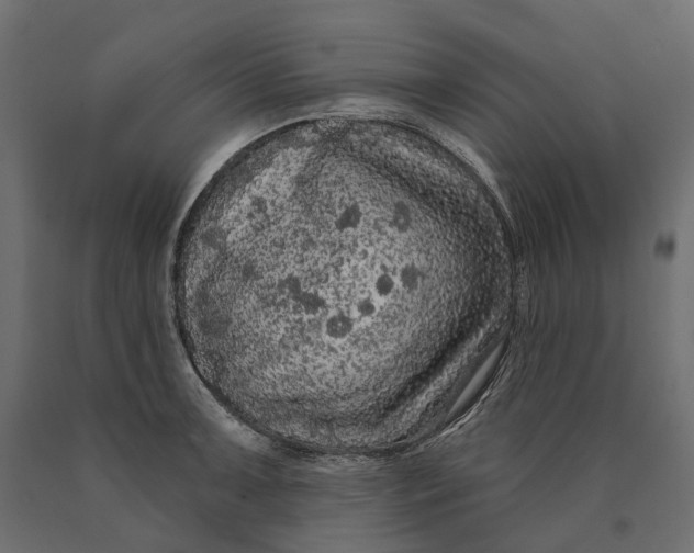 X0000090441091200708031148