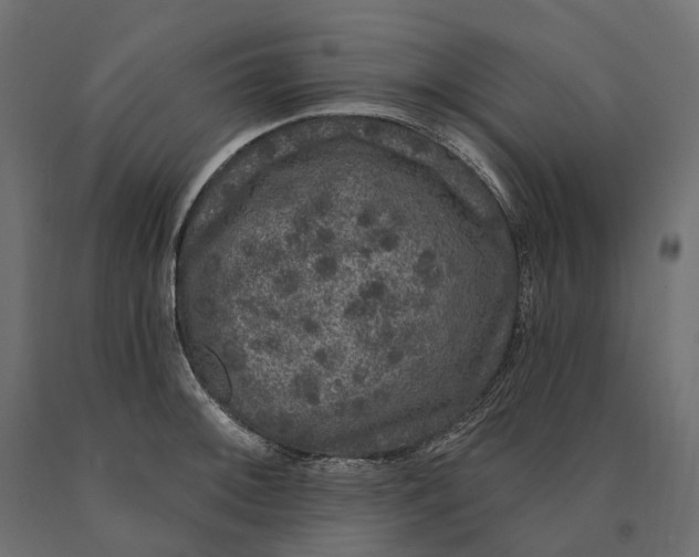 X0000090441092200708031148